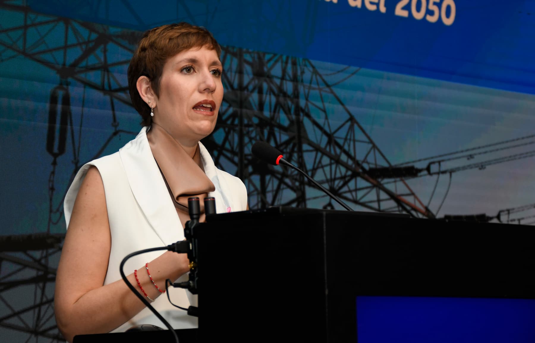 La ministra de Energía y Ambiente de Mendoza calificó los avales a proyectos mineros como “un gran paso al desarrollo de la economía”