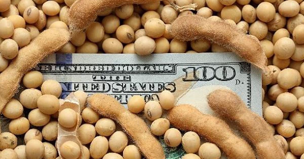 La liquidación del agro avanza con demora y suma presión sobre el dólar