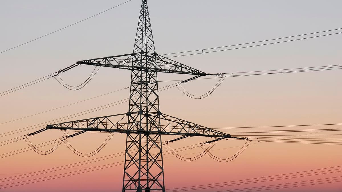 El Gobierno impulsa 16 obras para ampliar la red eléctrica con capital privado