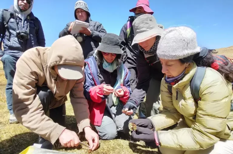 Una científica argentina entre las 25 mentes del planeta por su aporte a la minería de litio con enfoque social
