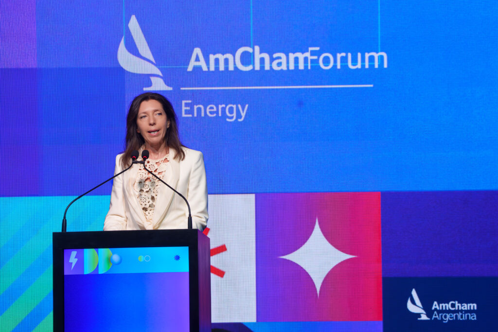presidenta de AmCham Argentina, Mariana Schoua