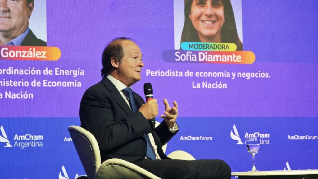 Daniel González, secretario de Coordinación de Energía y Minería del Ministerio de Economía de la Nación